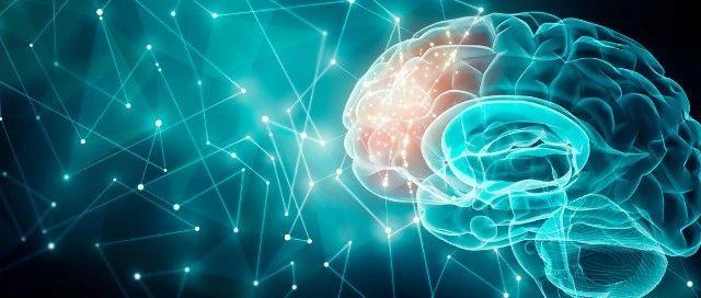 带你入门跨学科领域——认知神经科学