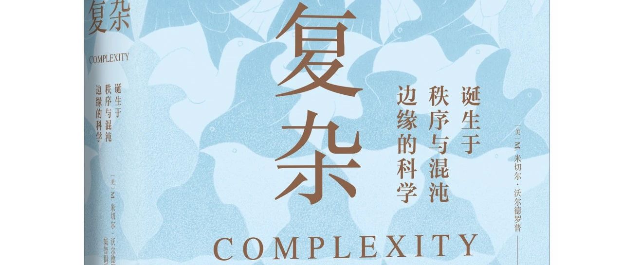 郑杰：重读《复杂》，觉悟“生命”丨新书《复杂》