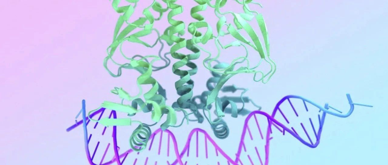 Nature速递：AlphaFold 3 预测所有生命分子的结构和相互作用