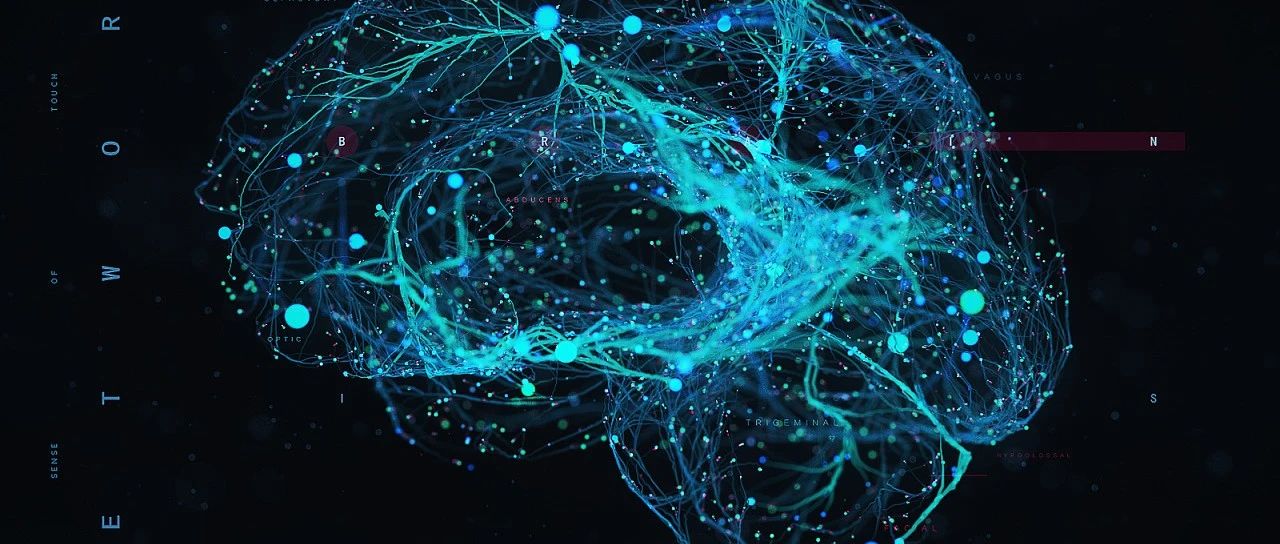 网络结构对神经群体整体动力学的影响丨计算神经科学读书会·周四直播