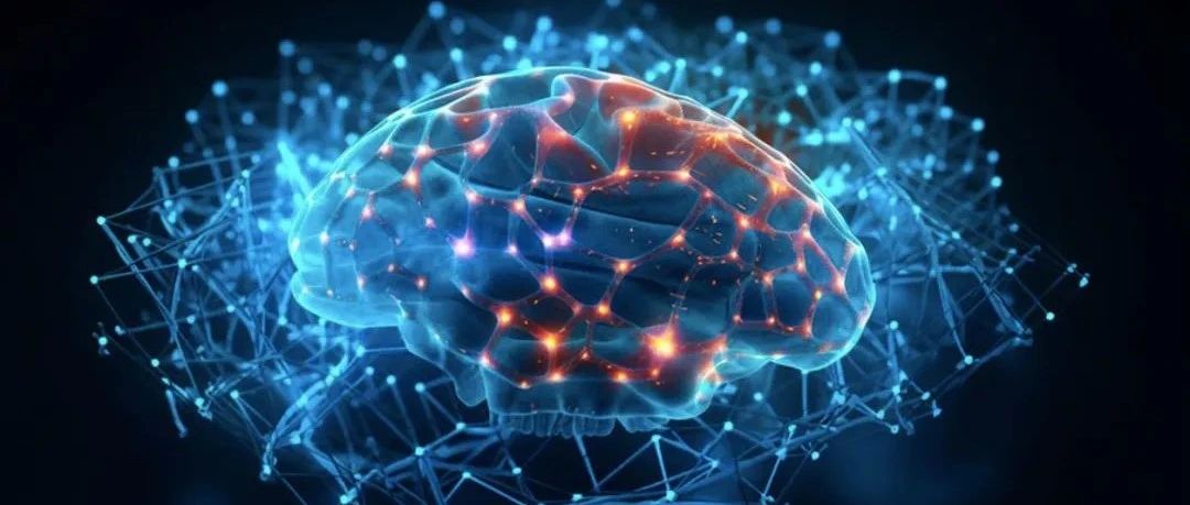 突触动力学如何启发对大脑神经网络的认识？